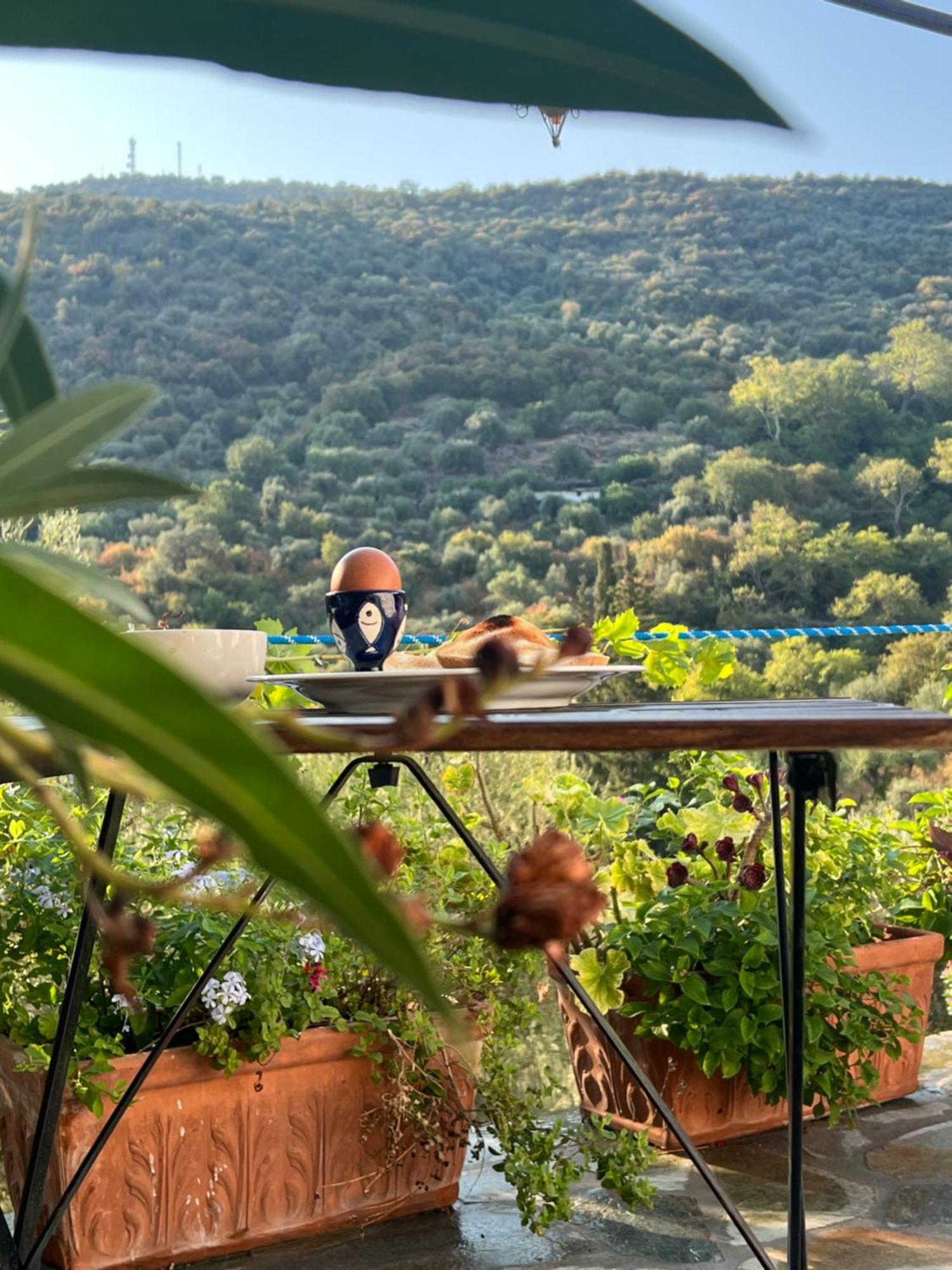 Maison Charme Avec Piscine Privee, Pres De La Mer A Sappounakeika, Tyros Sapounakeika Kültér fotó